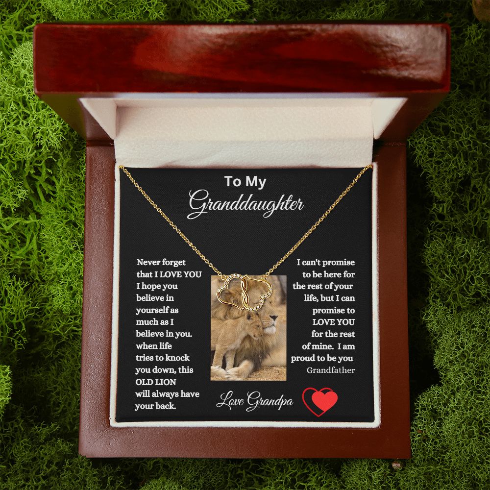 TO MY GRANDDAUGHTER EVERLASTING LOVE